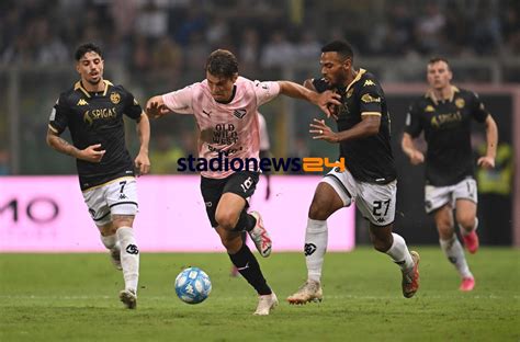 Sampdoria Palermo Le Probabili Formazioni Chance Per Segre