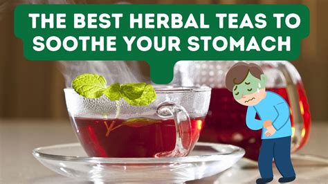 Unlocking The Power Of The Best Herbal Teas For Stomach Ache And Indigestion Relief Youtube