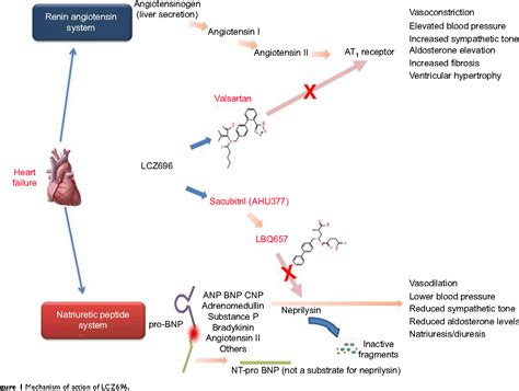 Figure From Vascular Health And Risk Management Dovepress