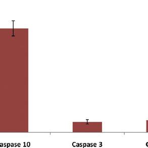 Proteolytic Activity Analysis Of Recombinant Cs Casp Protein The