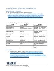 Unit Lab Assignment Docx Unit Lab Endocrine System And Blood