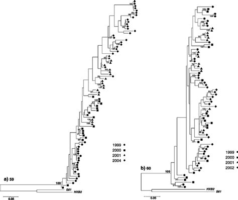 Maximum Likelihood Phylogenetic Trees For The Env Gene Partial Hiv 1