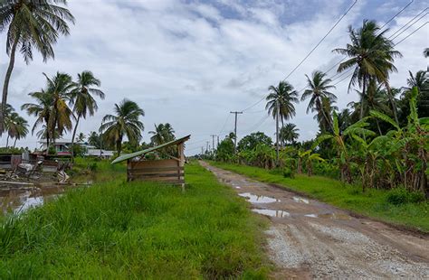 The serene Leguan Island - Guyana Chronicle