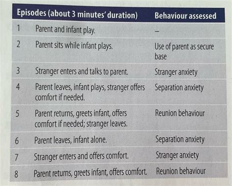 Ainsworth S Strange Situation Types Of Attachment Flashcards Quizlet