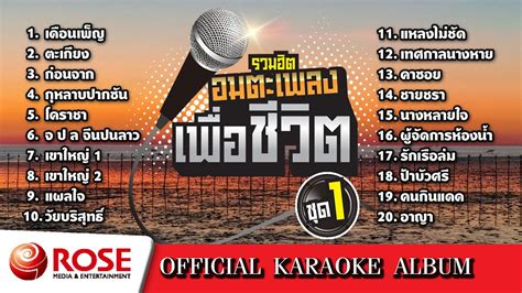 รวมฮิต อมตะเพลงเพื่อชีวิต ชุด 1 Karaoke Album Youtube