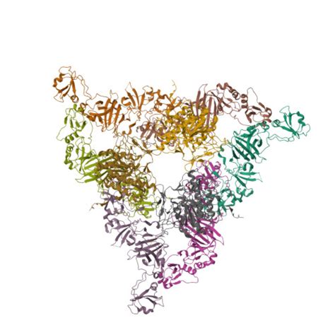 RCSB PDB 7NPS Structure Of The Periplasmic Assembly From The ESX 5