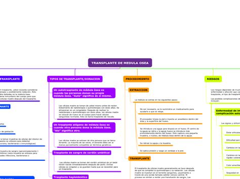 Transplante De Medula Osea Mindmap Voorbeeld