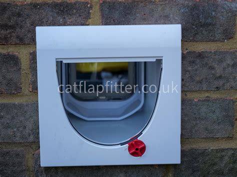 Cat Flap Fitter Install A Cat Flap In A Brick Wall