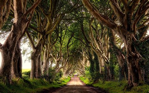 800 Ireland desktop backgrounds đẹp nhất cho máy tính