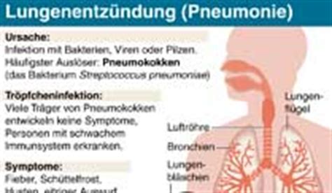 Lungenentzündung Daran erkennt man eine Pneumonie