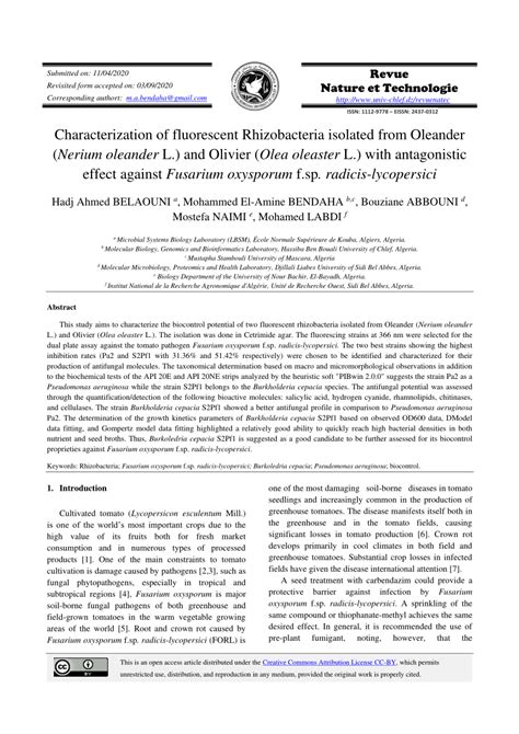 Pdf Characterization Of Fluorescent Rhizobacteria Isolated From