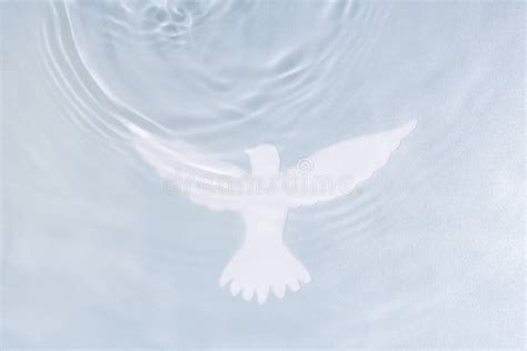 Silhouette of White Dove on Water Background. Baptism Symbol Stock ...