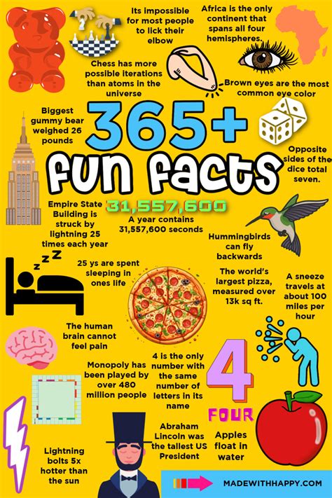 fun facts  kids interesting facts   happy