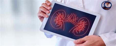 Symptoms of Kidney Disease | Stemedix | Regenerative Medicine