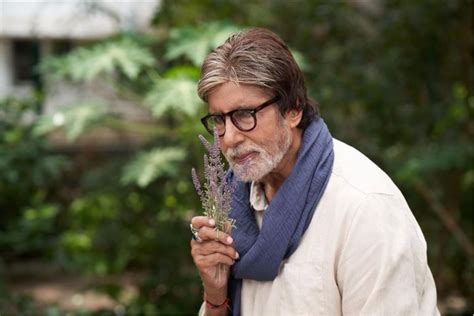 motivational quotes  amitabh bachchan rvcj media