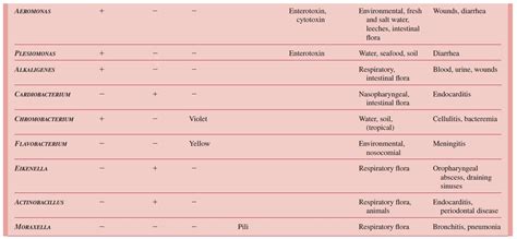 Other Gram-Negative Rods