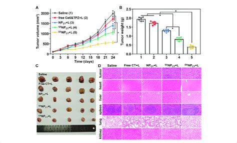 A Tumor Growth Curve Of The Mcf Tumor Bearing Balb C Nude Mice