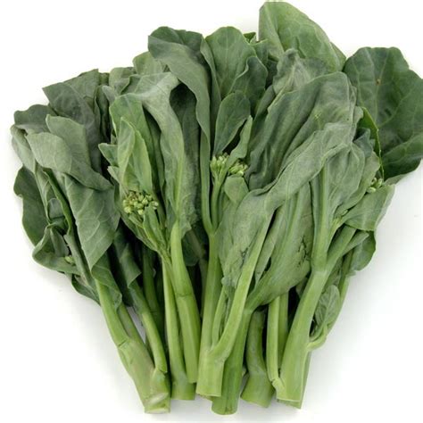 Guy Lon Chinese Broccoli Brassica Oleracea Var Alboglabra My Garden Life