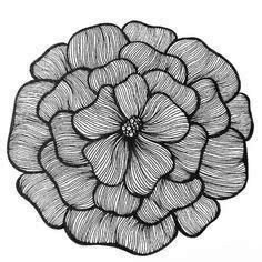 Pin By Andra Shinkle Heath On Flower Doodles In 2024 Zentangle