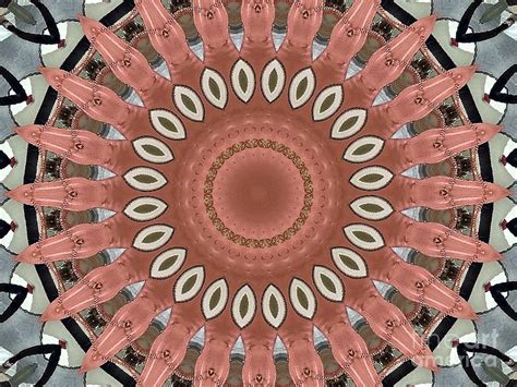 Mandala No 81 Digital Art By Lene Pieters Fine Art America