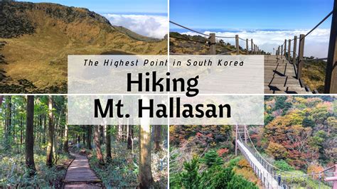 The Best Trail To Hike Mt Hallasan On Jeju Island South Korea Erika