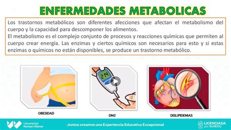 Enfermedades Metab Licas Erica Af Udocz