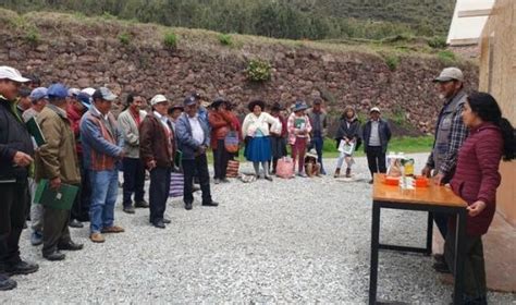 Cusco Productores De Yanacona Se Capacitan Para Mejorar Calidad