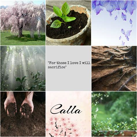 Here’s a tribute to Calla from KOTLC. We will miss... - KOTLC AESTHETICS