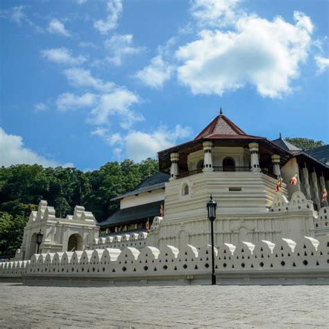 Van Colombo Priv Daagse Reis Met Hoogtepunten Van Sri Lanka