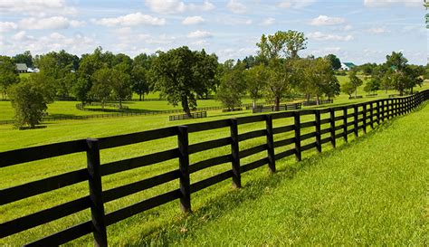 Farm Fence