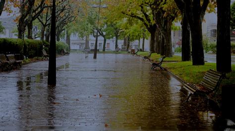 Sleep Instantly With Torrential Rain Powerful Thunder Sound Covering