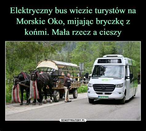 Elektryczny bus wiezie turystów na Morskie Oko mijając bryczkę z końmi