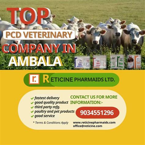 TOP PCD VETERINARY COMPANY IN AMBALA At Rs 20000 Month In Kurukshetra