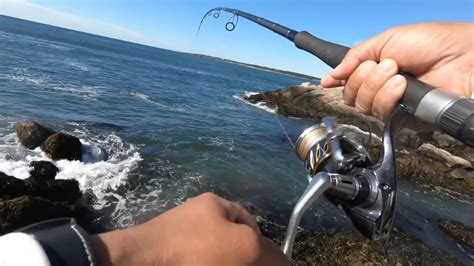 Jamestown Ri Tautog Fishing Ep 2 Youtube