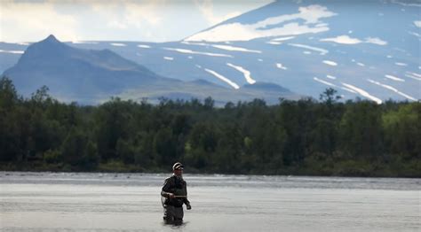 Dry Fly Paradise Midcurrent