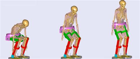 Modeling A Human In An Exoskeleton Anybody Simulation Exoskeleton Report