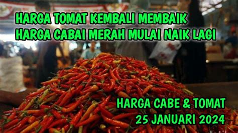 Info Harga Cabai Hari Ini Januari Cek Harga Tomat Hari Ini