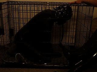 Gimp Bdsm Hotntubes Porn