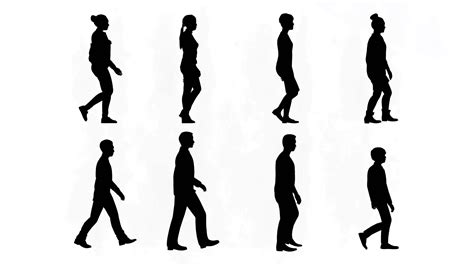 3d Renderingsilhouette Group Of Human Walking Isolated Graphics On White Backgroundvisual