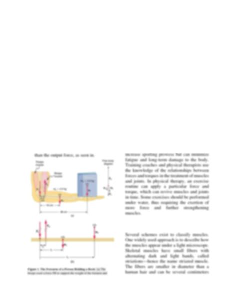 SOLUTION Forces And Torques In Muscles And Joints Studypool