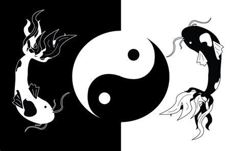 Yin Yang Koi Fish Meaning | Yin Yang Paradise