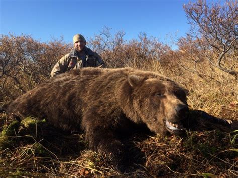 Kodiak Brown Bear Hunting