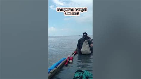 Tempuran Air Laut Dan Sungai Shorts Youtube