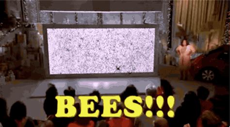 Bees  Find And Share On Giphy