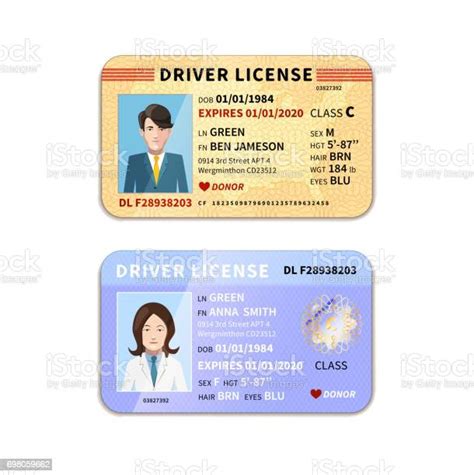 Different Car Driver Licenses With Photo On White Stock Illustration Download Image Now