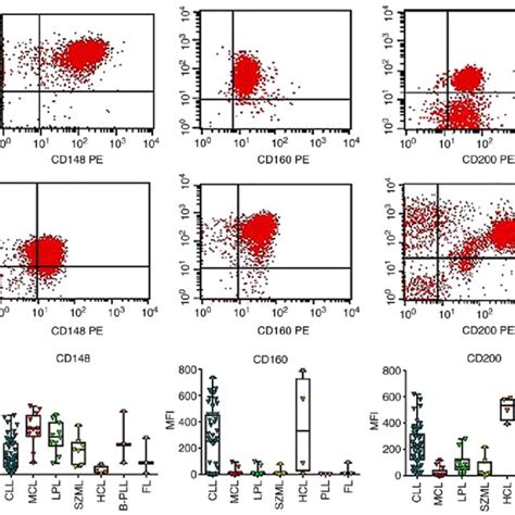 A Representative Flow Cytometry Plot Of Mcl Showing The Expression Download Scientific