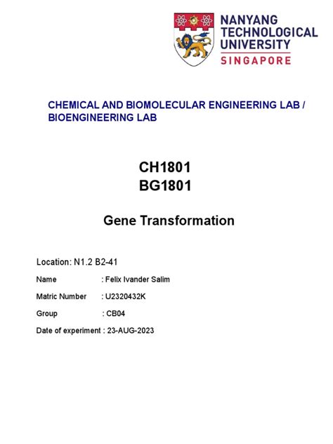 Gene Transformation | PDF | Transformation (Genetics) | Genetic Engineering