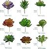 Na Woohome Pcs Artificial Succulents Picks Set Pcs Mixed Color