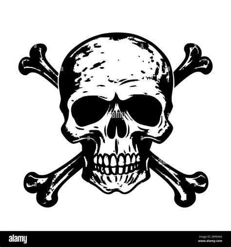 Skull And Crossbones Vector