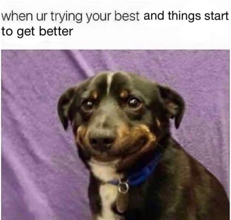 20 Laughable Memes To Make Anyone Feel Better About Life